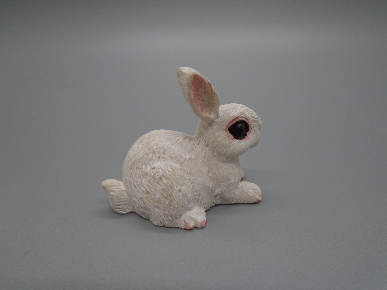 WHITE RABBIT LYING WITH EARS UP