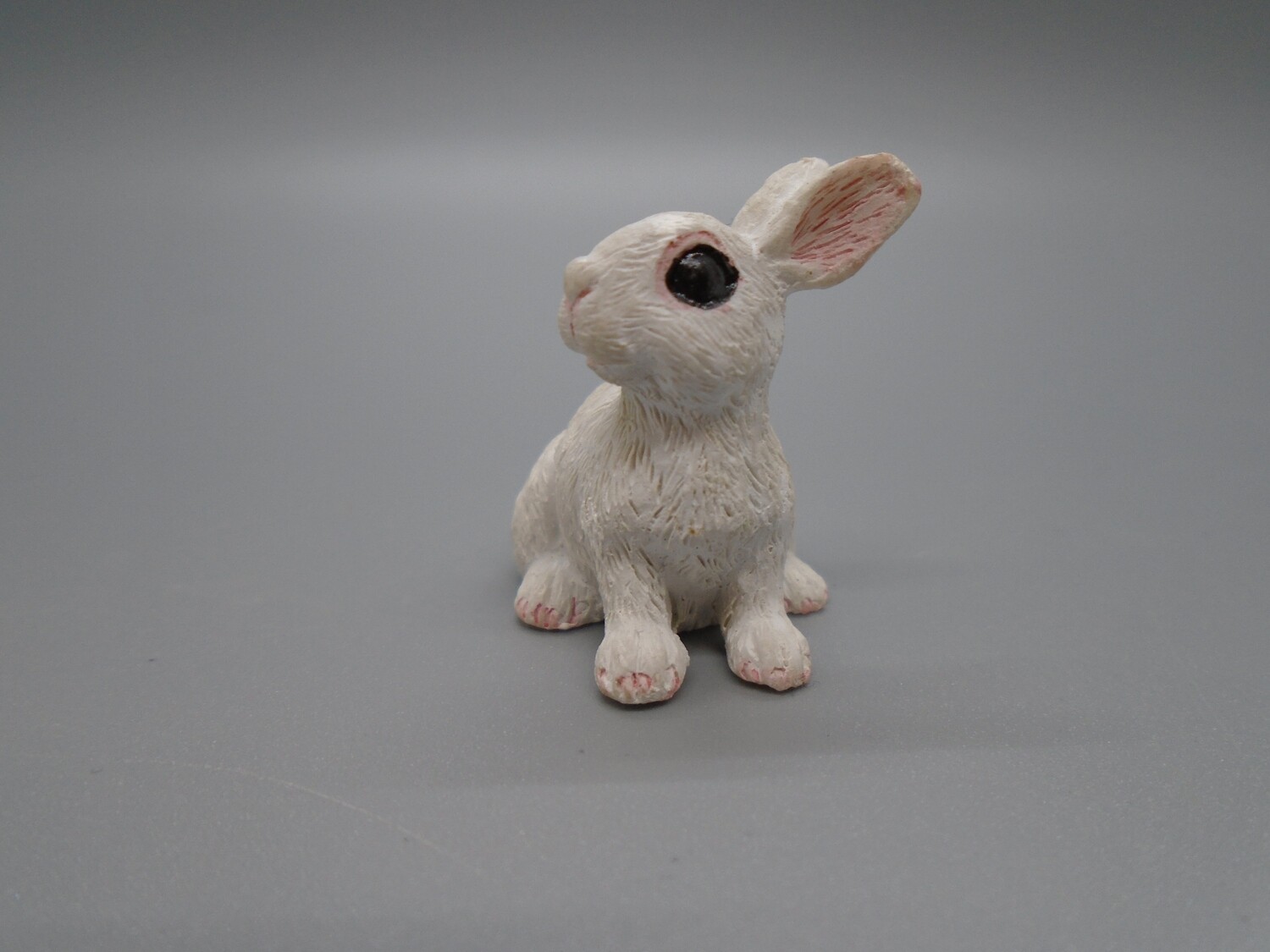 WHITE RABBIT SITTING