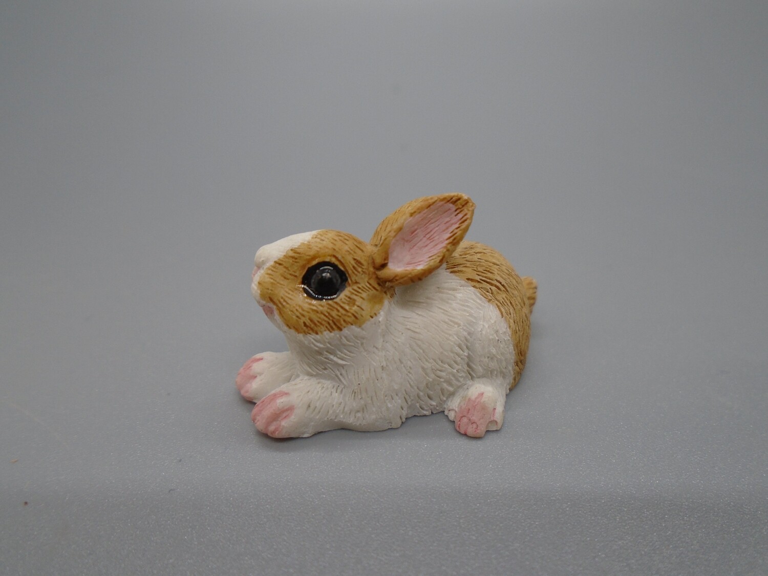 BROWN AND WHITE RABBIT LYING