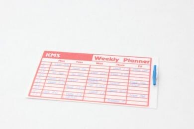 Wall Planner with Pen by Delph