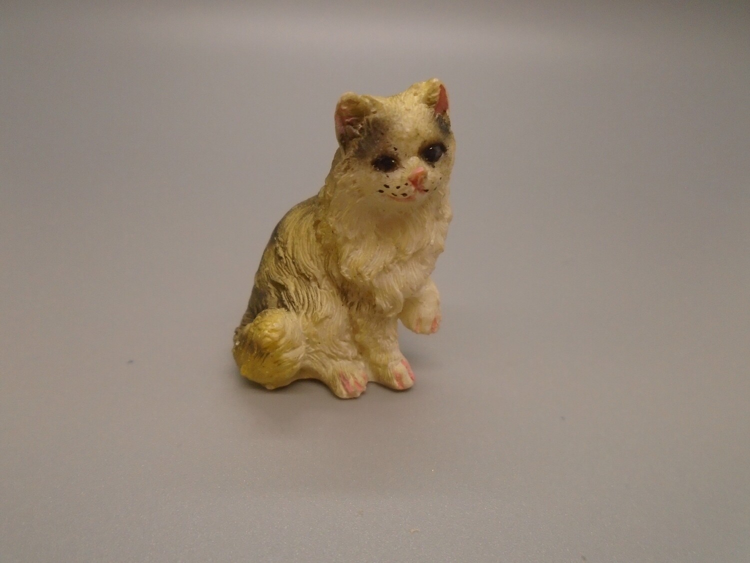 SITTING CAT