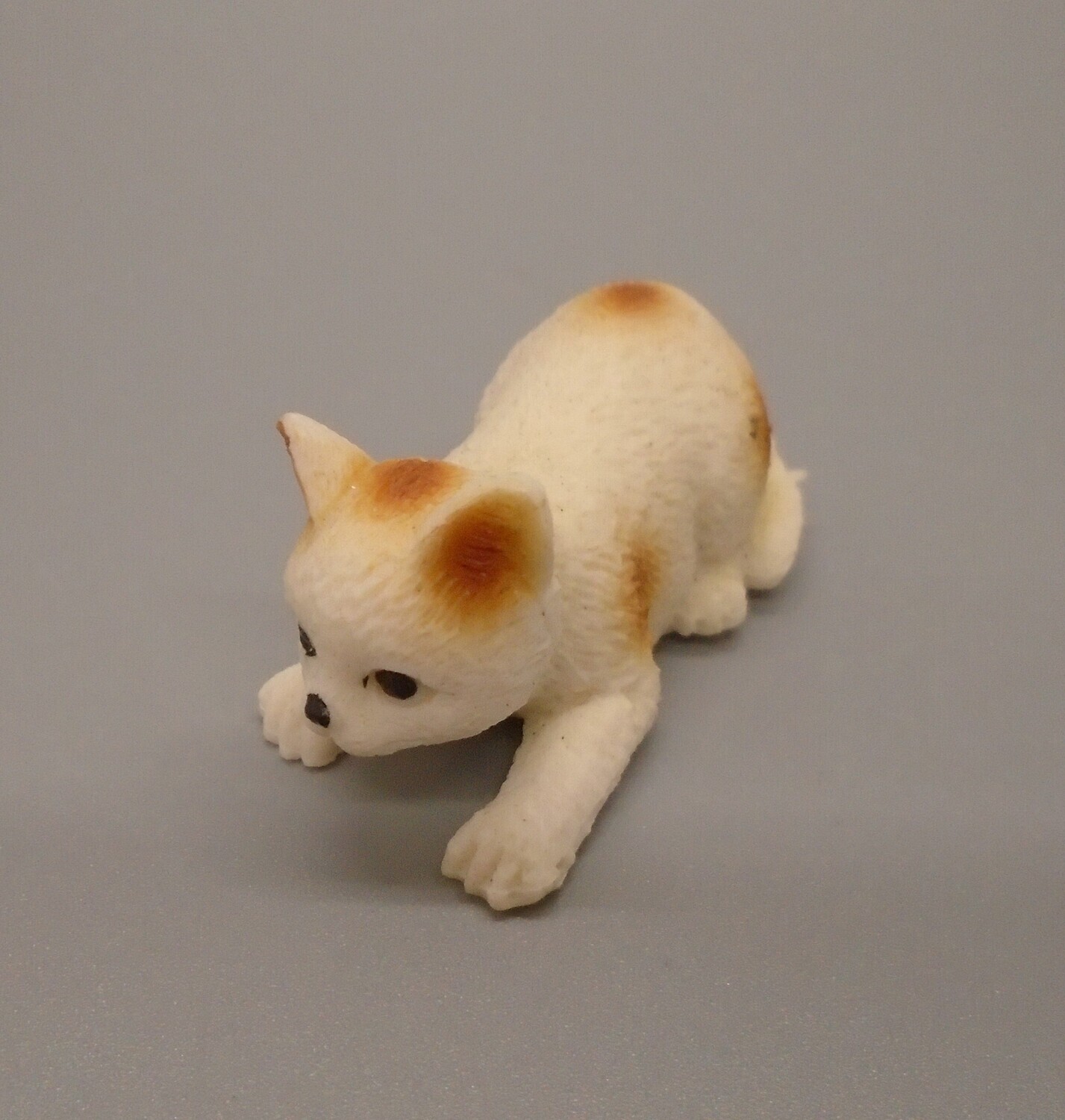 GINGER AND WHITE CAT