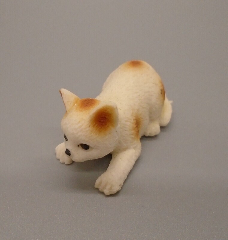 GINGER AND WHITE CAT