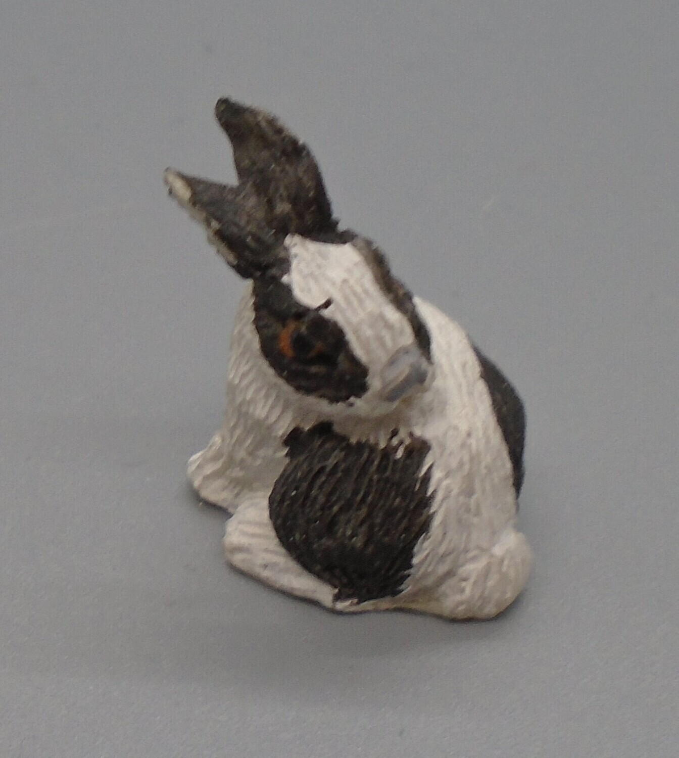 RABBIT