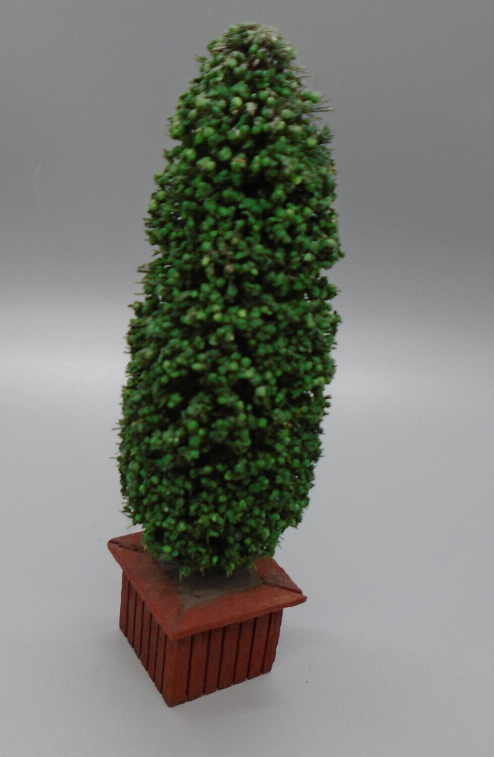 TALL BUSH IN WOODEN PLANTER BOX