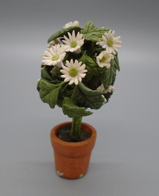 POTTED TREE WITH WHITE FLOWERS