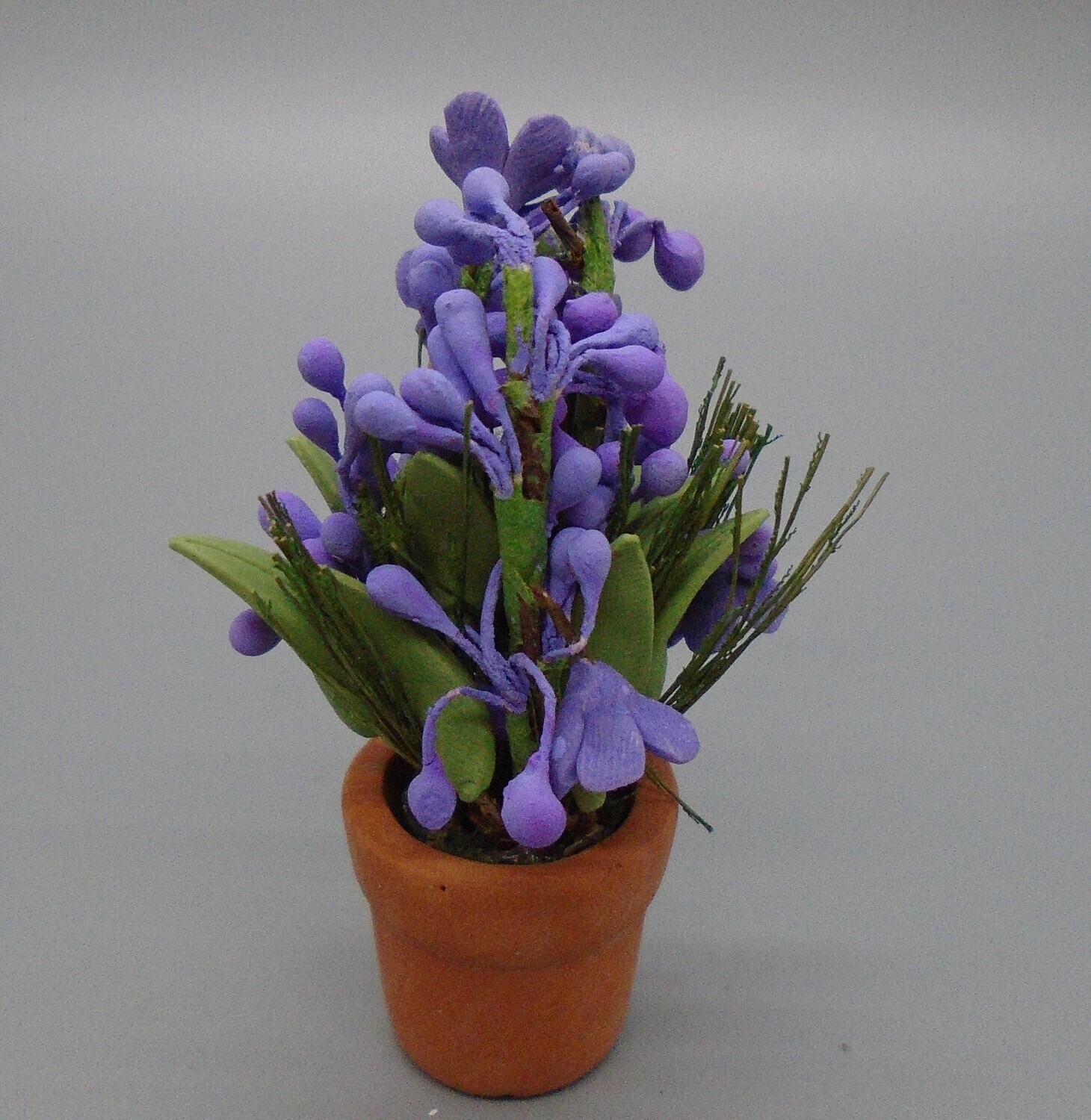 LILAC POTTED PLANT