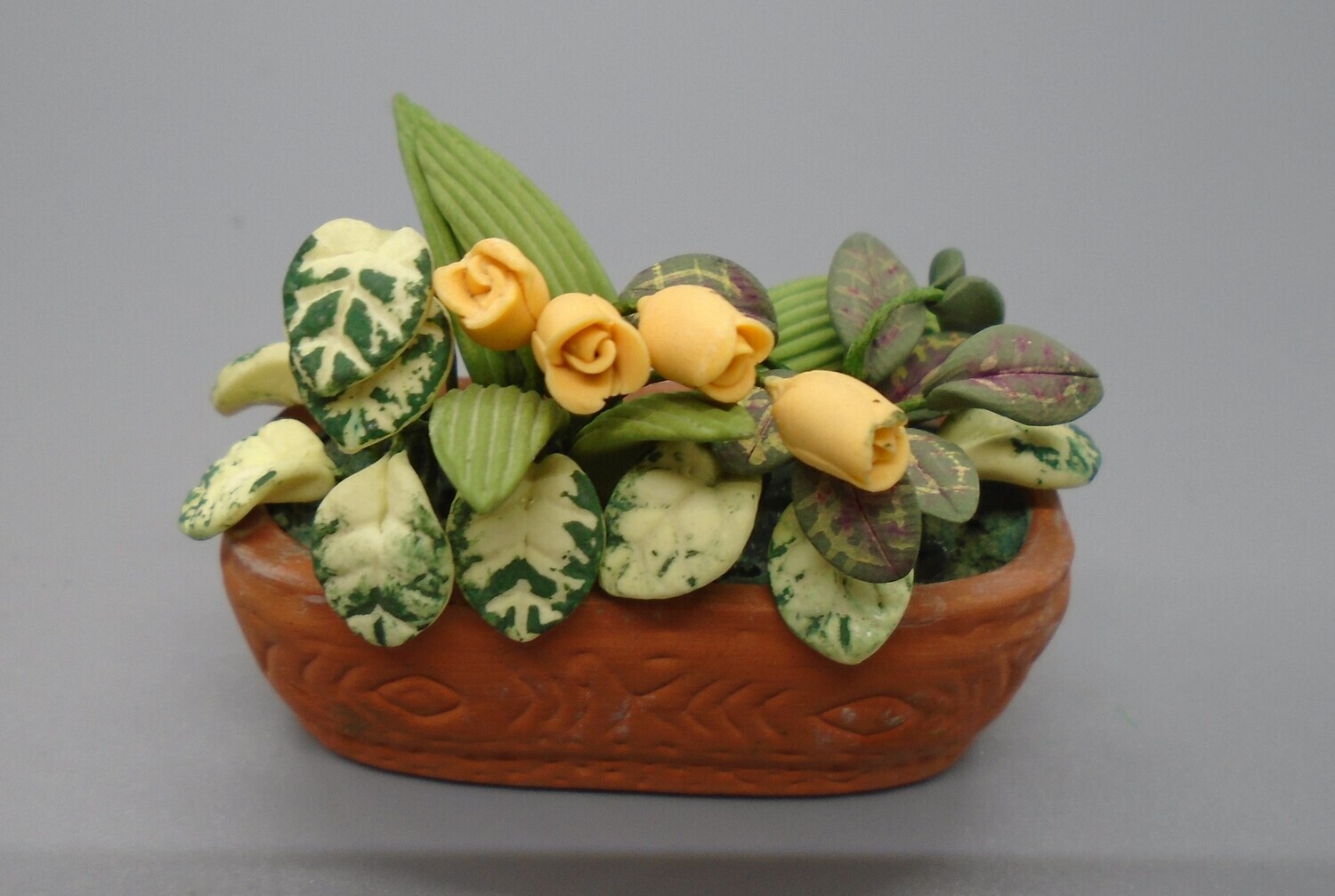 TERRACOTTA PLANTER  WITH MIXED PLANTS AND FLOWERS