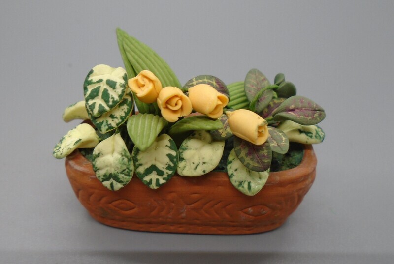 TERRACOTTA PLANTER  WITH MIXED PLANTS AND FLOWERS