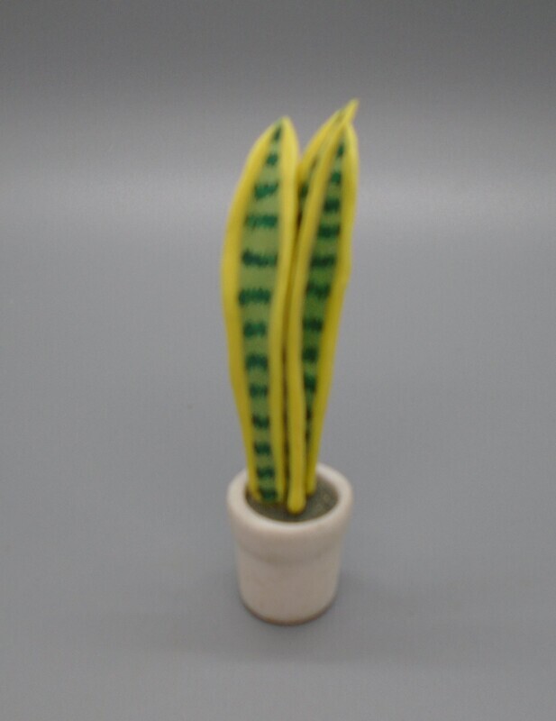 TALL PLANT