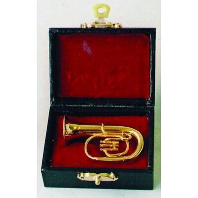 BARITONE TUBA IN CASE