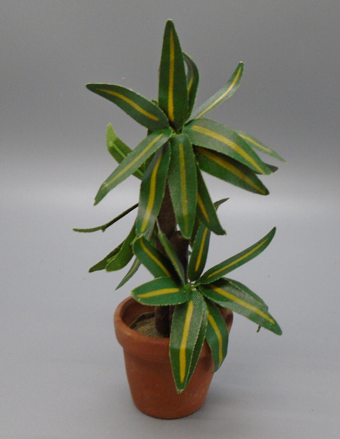 TALL LEAFY PLANT IN POT