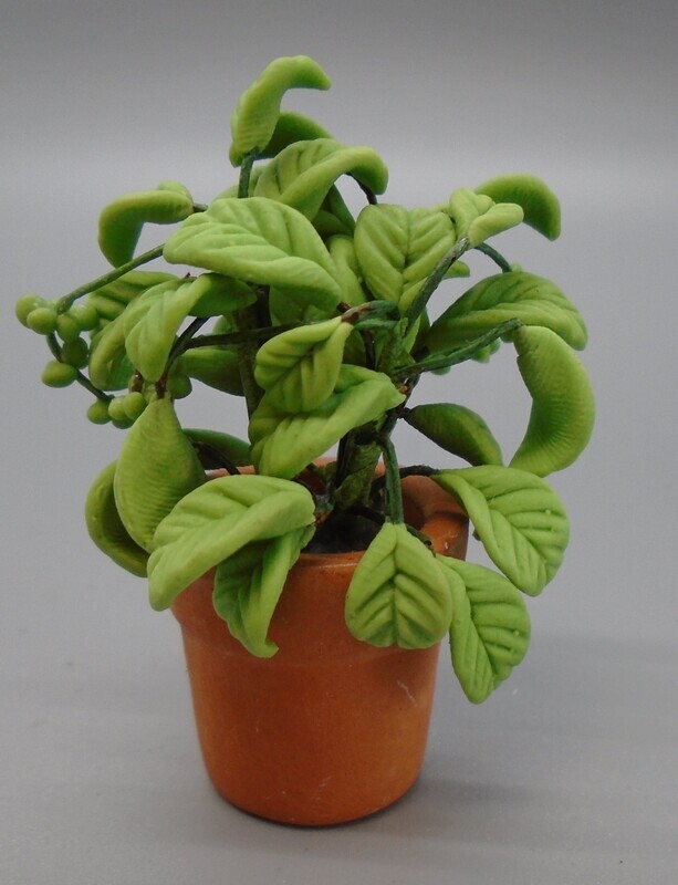 LEAFY PLANT IN POT