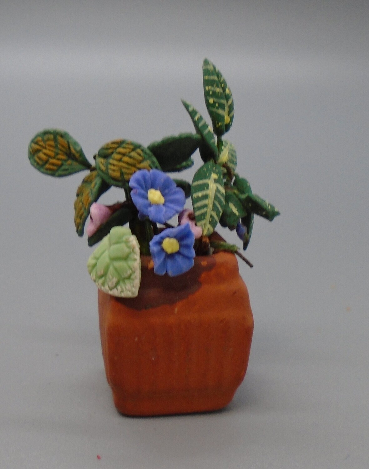PRE-LOVED FLOWER PLANTS IN POT