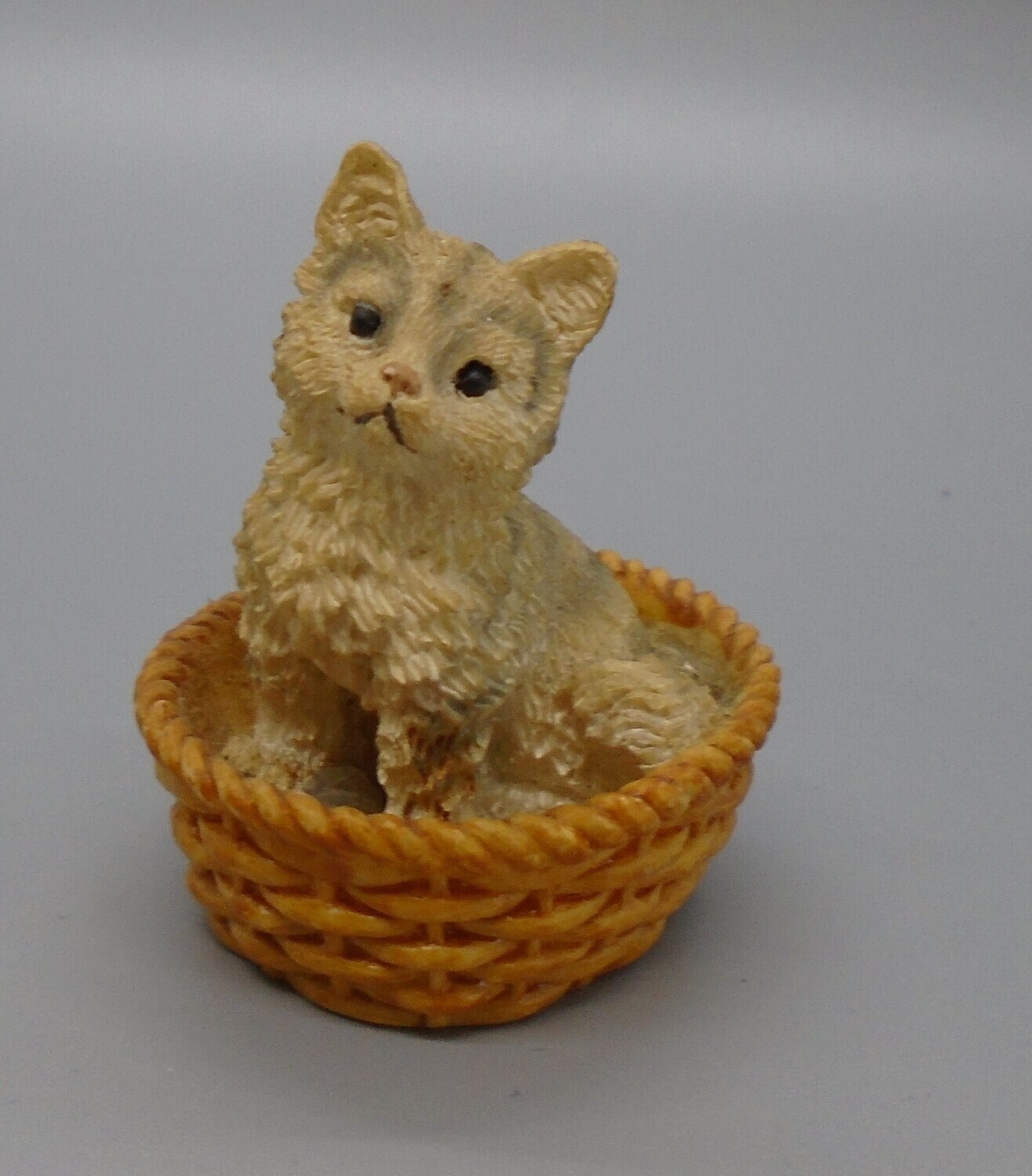 CAT IN BASKET
