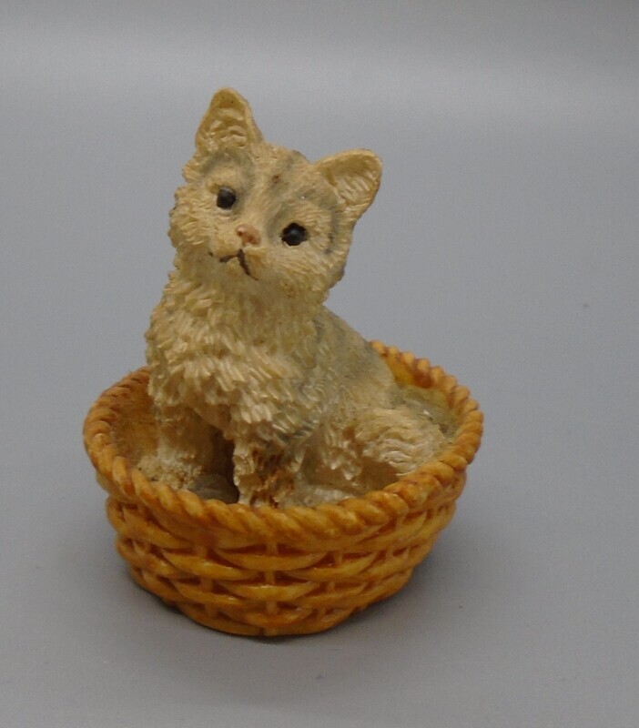 CAT IN BASKET