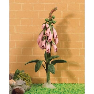 WILD PINK FOXGLOVE