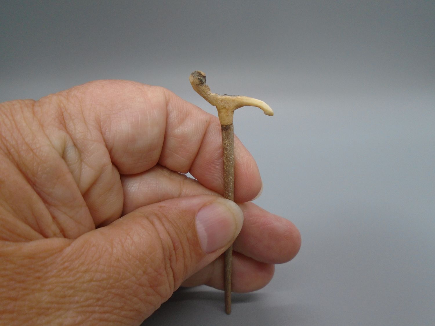 WALKING CANE (STICK) WALKING CANE (STICK)