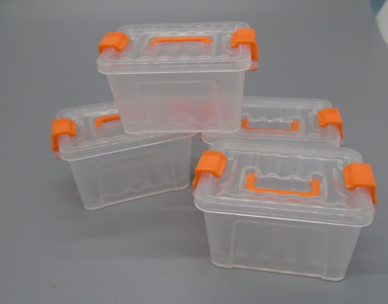 STORAGE BOXES WITH LIDS