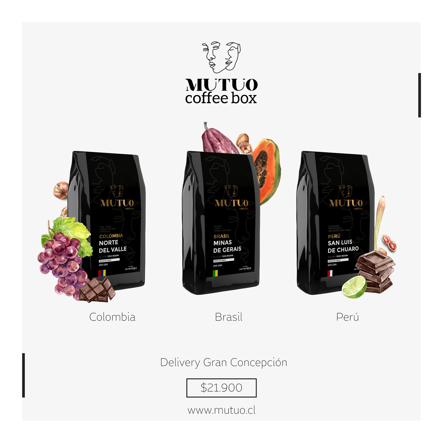 MUTUO coffee box