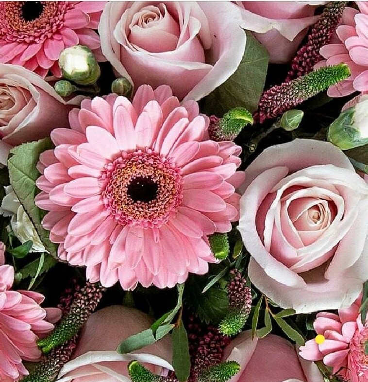 Just-in-pink