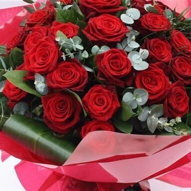 50 Red roses