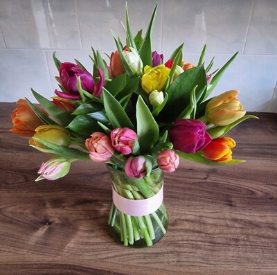 Just - Tulips (Vases sold separately)