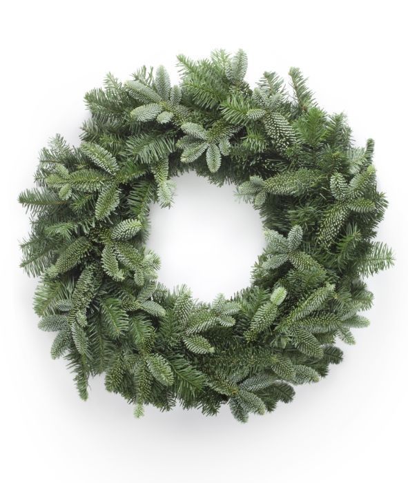 Plane Spruce Wreath