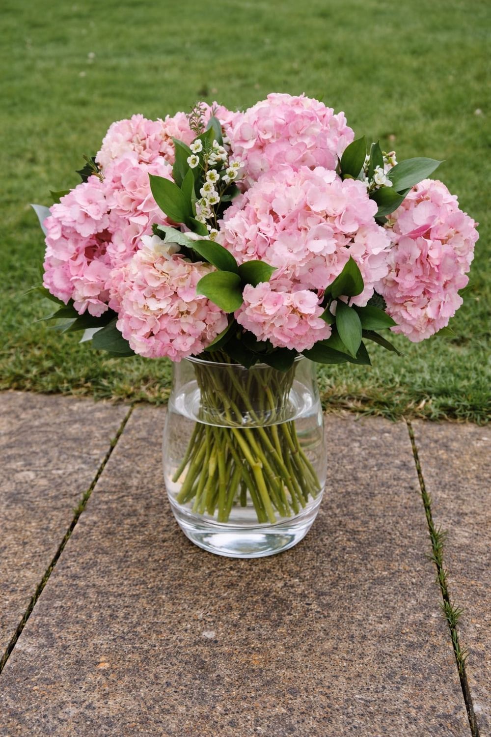 Helloooo Hydrangea's