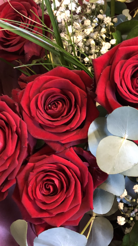 12 Long Stem Red Roses