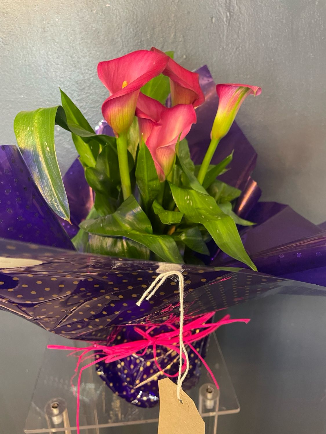 Calla lily