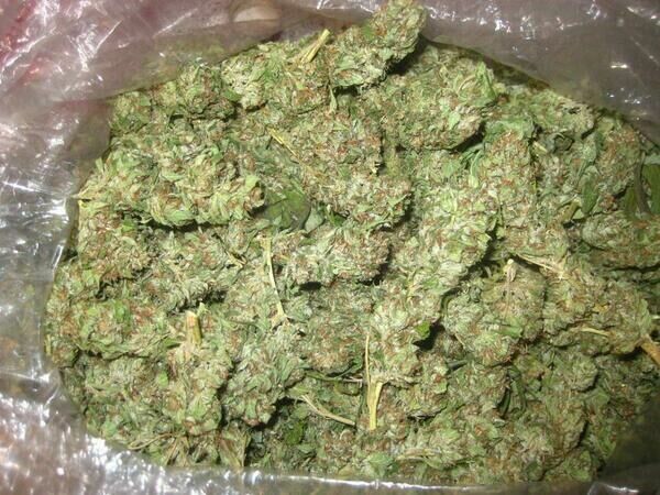 CannaPalace