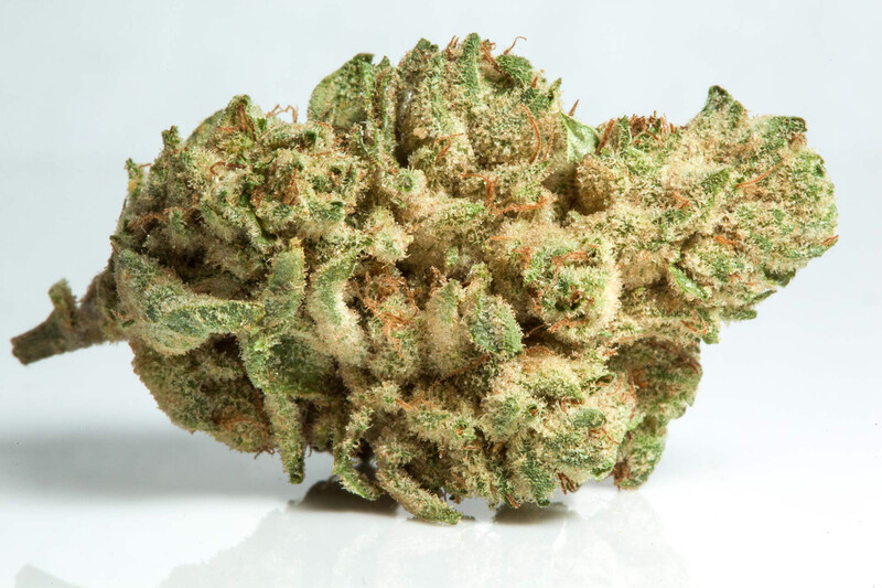 Gorilla Glue