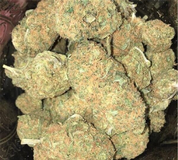 Sherbert