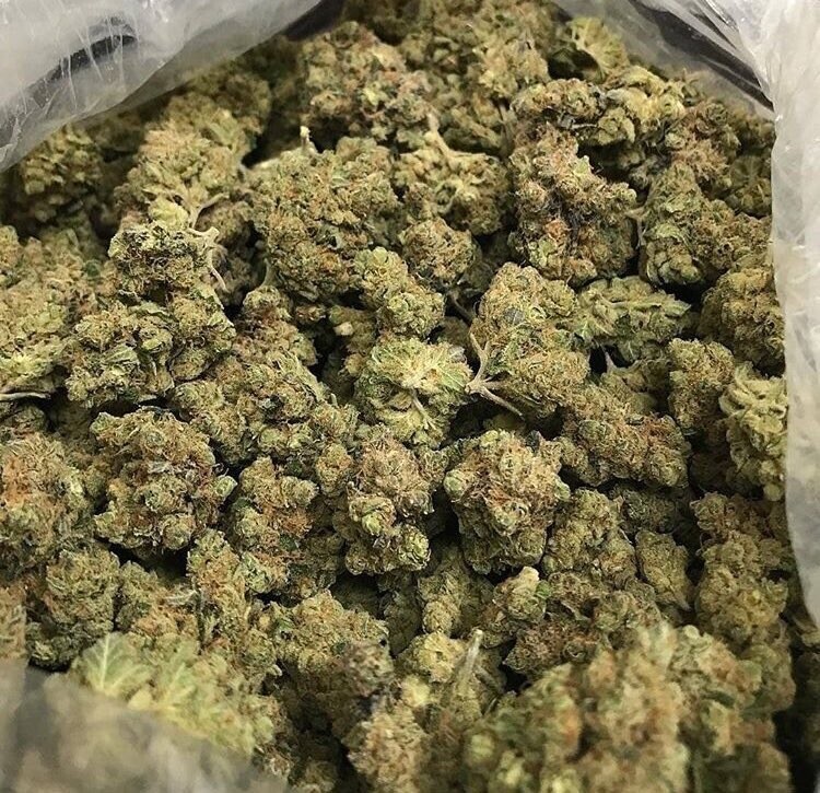 OG