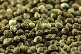 Marijuana Seeds