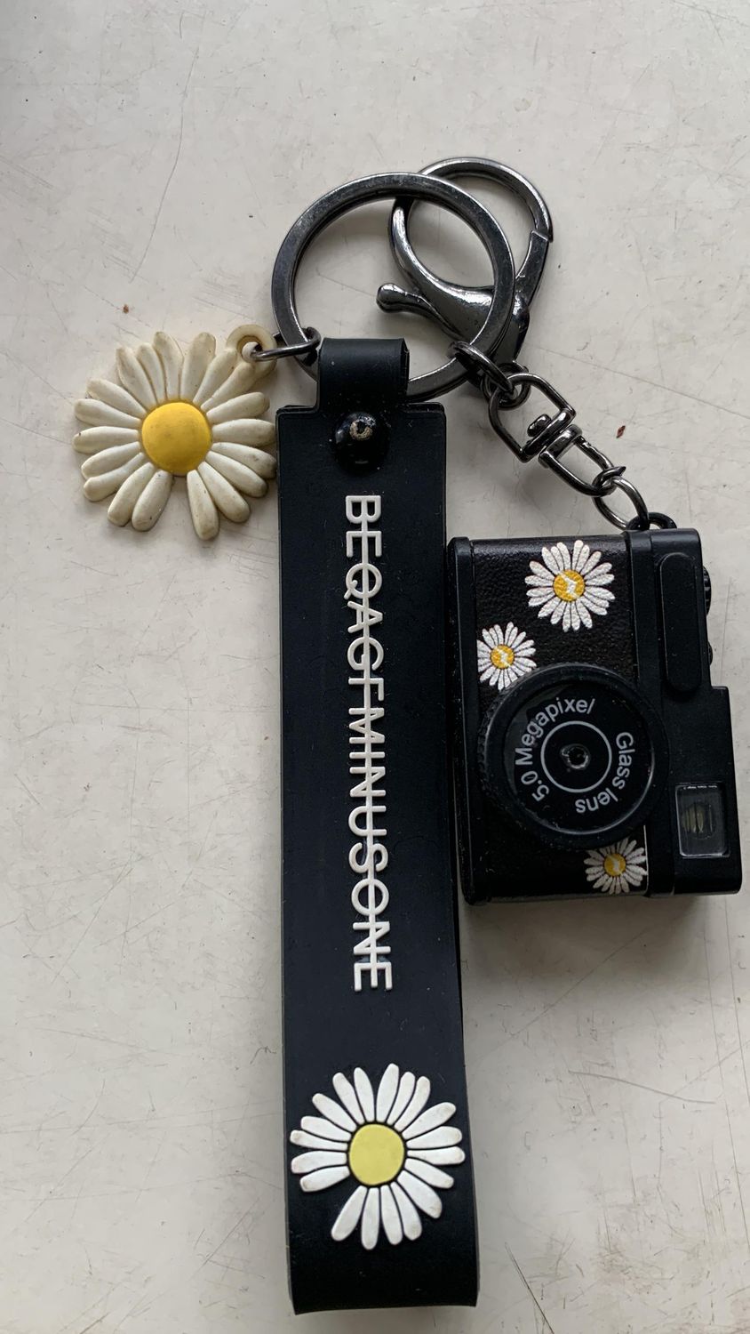 Snapshot keyholder