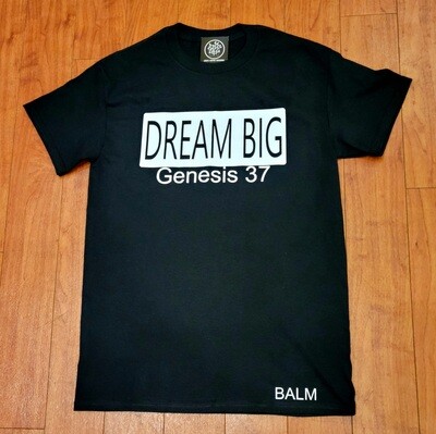 Dream Big color block T- Shirt