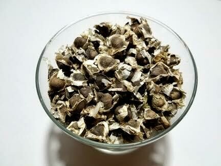 MORINGA