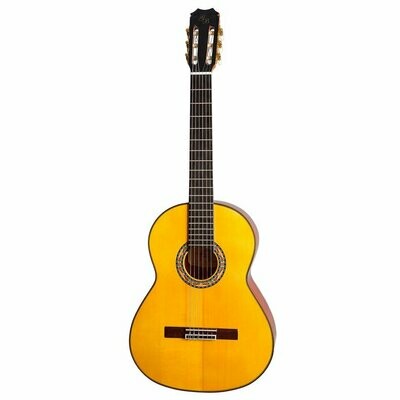 Guitarras hasta Euro 2.000,--
