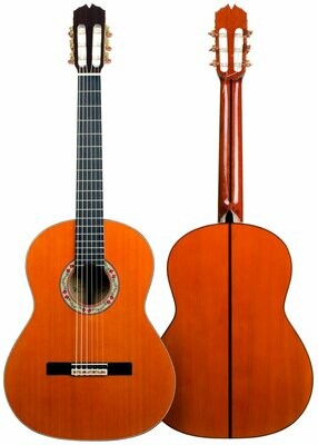 Guitarras mas de 2.000 Euro