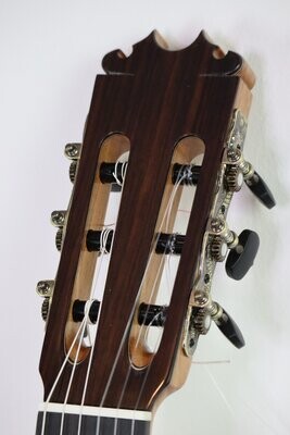 Luthier - David Peña Vargas
