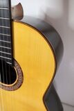 Premium Flamenco Master Guitar - David Peña Vargas - Spruce/Brazil Rosewood