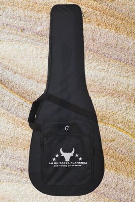 Topseller: Gitarren-Koffer Modell Topseller: Gitarren-Koffer Modell "Sound of Passion"