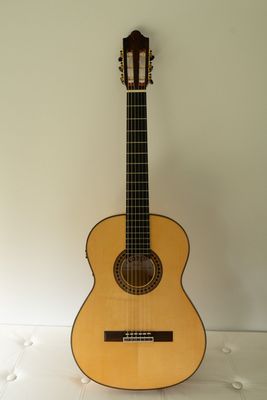 NEU: Flamenco-Gitarre - Hermanos Camps - Pasion Flamenca - Tonabnehmer NEU: Flamenco-Gitarre - Hermanos Camps - Pasion Flamenca - Tonabnehmer