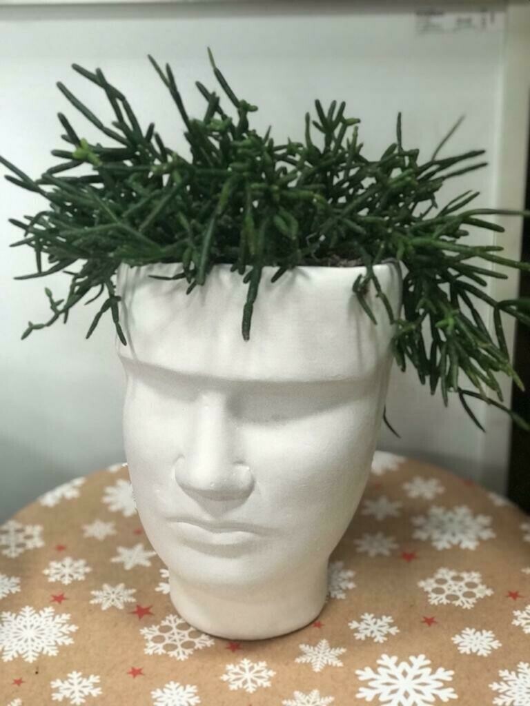 Горшки В Виде Головы Купить