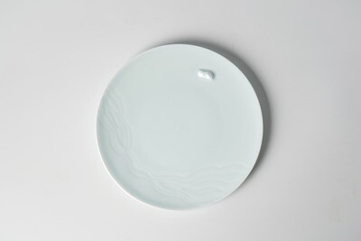 Plate S