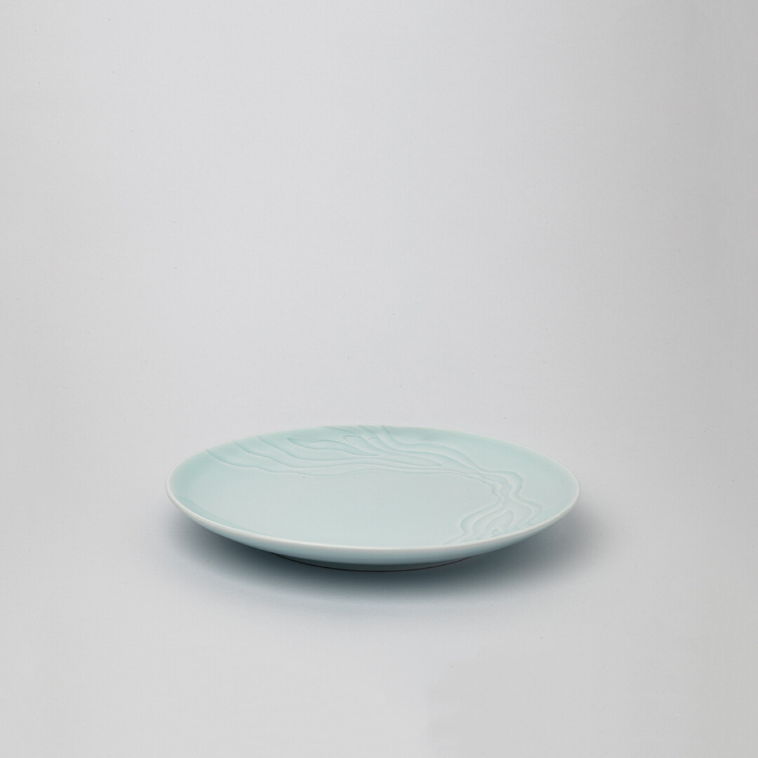 Plate XS