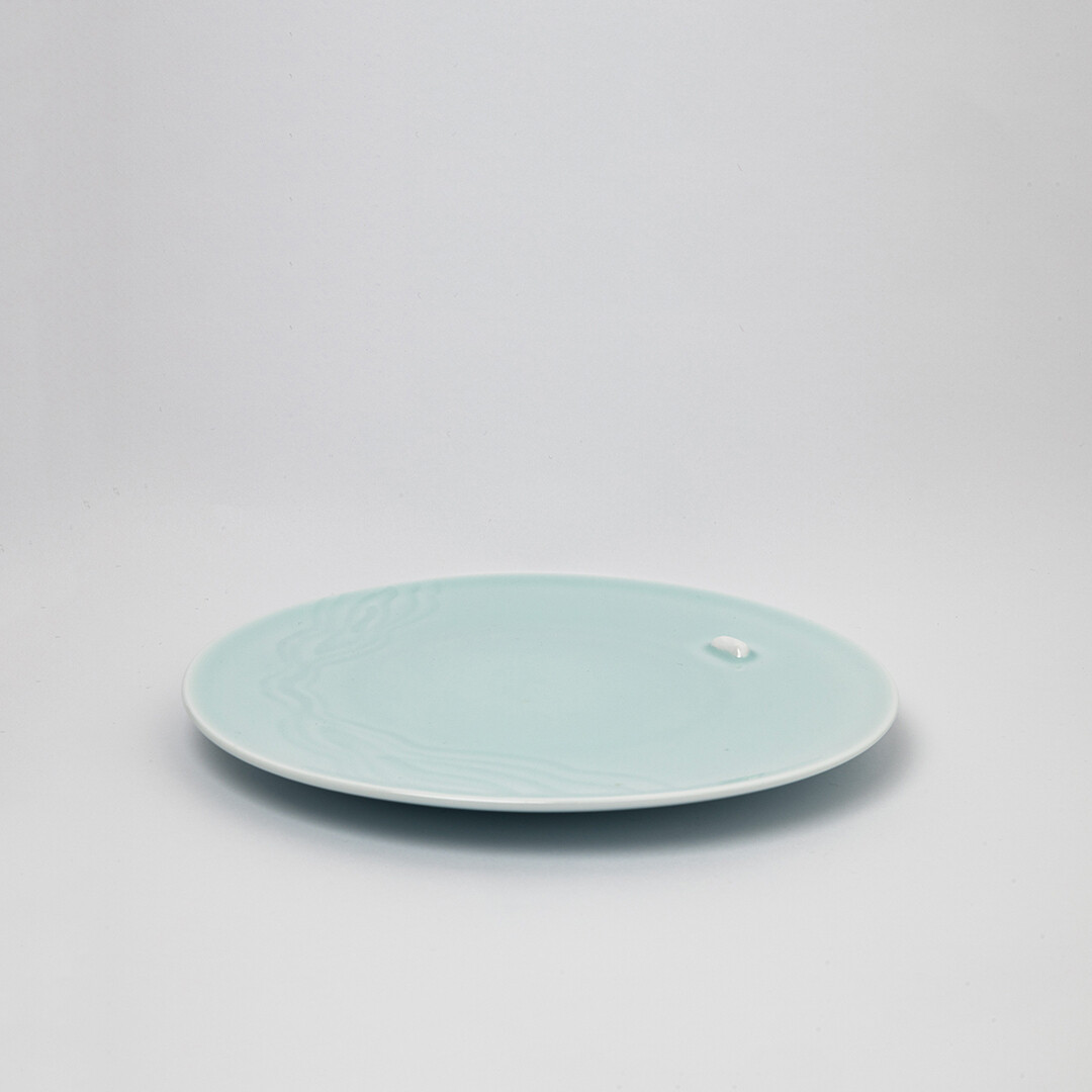 Plate S