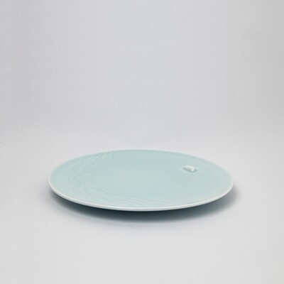 Plate S
